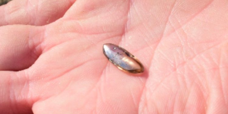 Obiteljski posjet državnom parku otkriva 3-karatni dijamant vrijedan tisuće