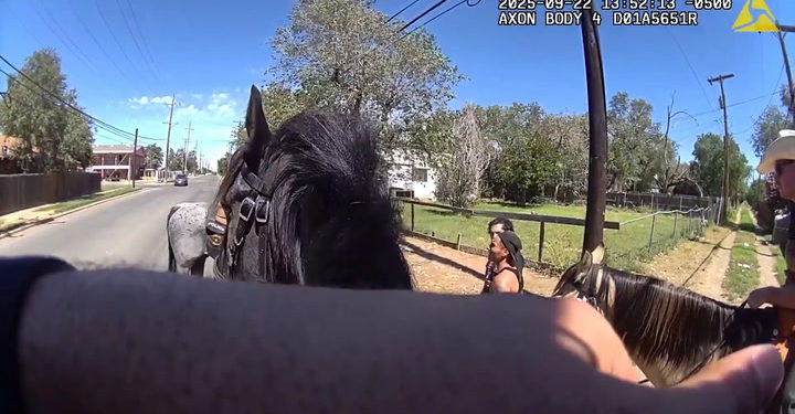 Osumnjičeni bježi nakon što je rečeno da policijski konj može mirisati drogu | Vijesti