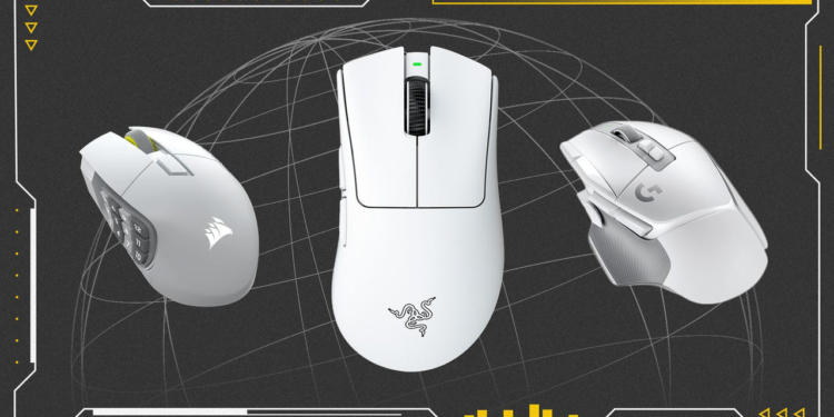 Our Top Reviewed Picks in 2025