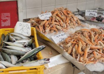 Posjetili smo splitsku peškariju, evo kako znati je li riba doista svježa