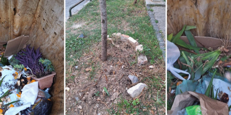 Slobodna Dalmacija – FOTO Sramota! Pogledajte što je nepoznat netko napravio u Spinutu, navodno nije prvi put: ‘Koja dijagnoza…’