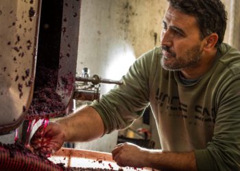 TOP-LISTA DALMATINSKIH VINARA: Pelješčani kolo vode, a tu su i Imoćani, Konavljani, ali i drniško ‘Dalmacijavino’