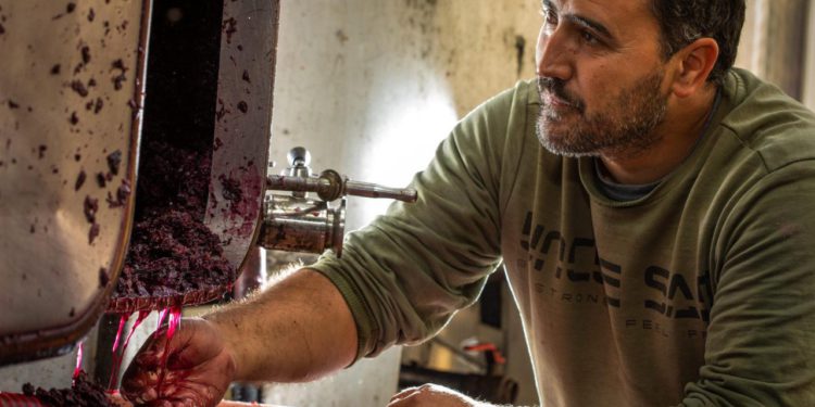 TOP-LISTA DALMATINSKIH VINARA: Pelješčani kolo vode, a tu su i Imoćani, Konavljani, ali i drniško ‘Dalmacijavino’