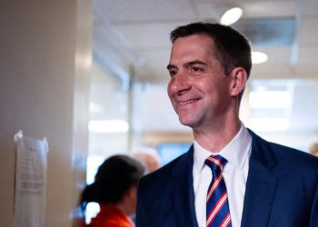 Tom Cotton Backs Ashley Hinson s novim oglasom za 2026. utrku Senata Iowa