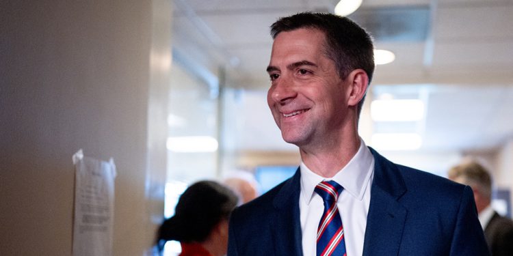 Tom Cotton Backs Ashley Hinson s novim oglasom za 2026. utrku Senata Iowa