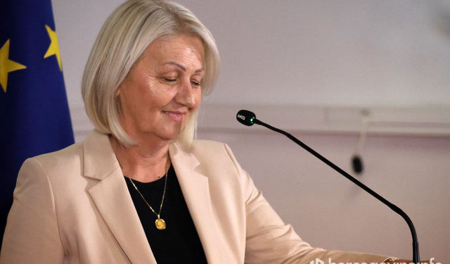 VIDEO Kaznena prijava protiv kompletnog Vijeća ministara i Predsjedništva BiH