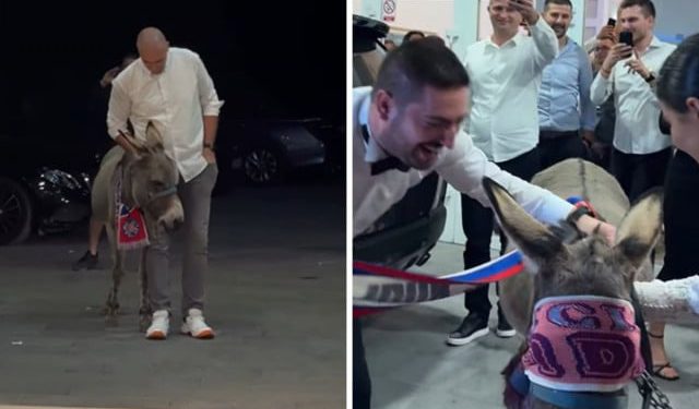 VIDEO Na svadbi kod Mostara pojavio se magarac, kum je za iznenađenje imao dobar razlog
