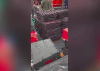 Više od 156 milijuna dolara kokaina zaplijenjeno u poprsju brodicama za krijumčarenje droge | Vijesti