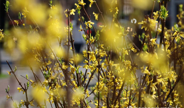 Vremenska prognoza za Mostar i Hercegovinu – 27.09.2025