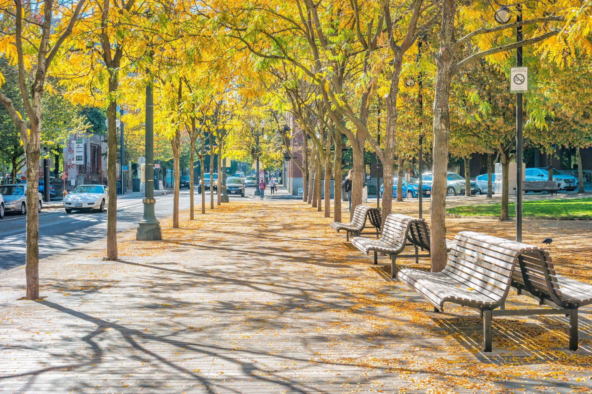 Stanovnici Portlanda, Oregon, ismijavali su se opis grada Donalda Trumpa kao 'rat opustošena', objavljivanjem slika njihovih zdravih i mirnih vikenda