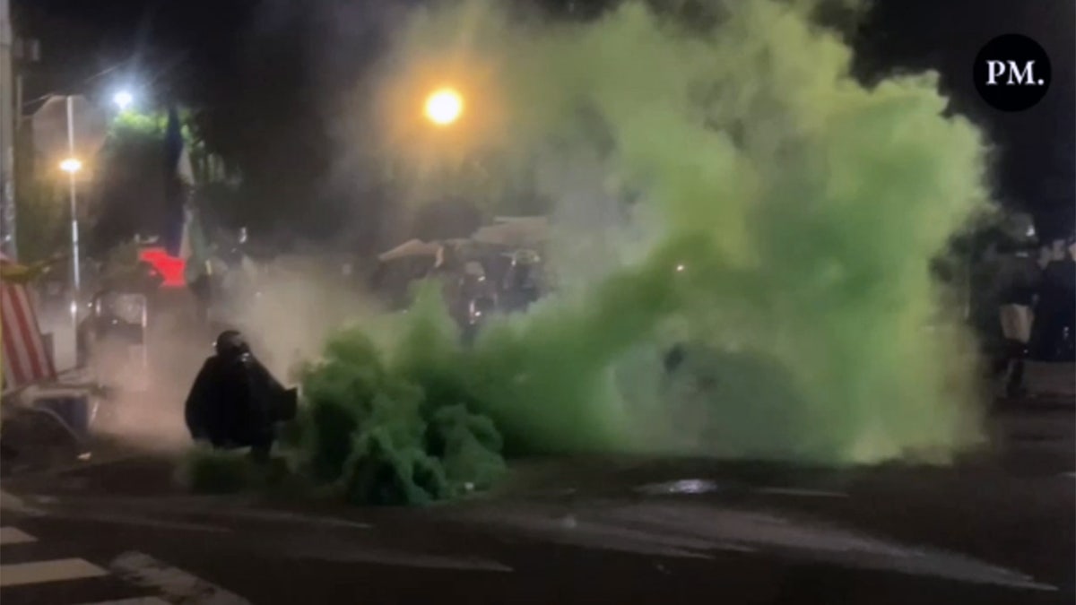 Prosvjednici protiv leda u Portlandu