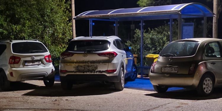 FOTO Pogledajte kako se parkiraju vozači na Marjanu