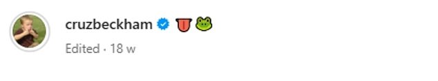 Sljedećih je mjeseci podijelio brojne snimke i videozapise o njegovom iskustvu sa svojim bendom, opisavši svoj lipanjski post jezikom i žabom emojije