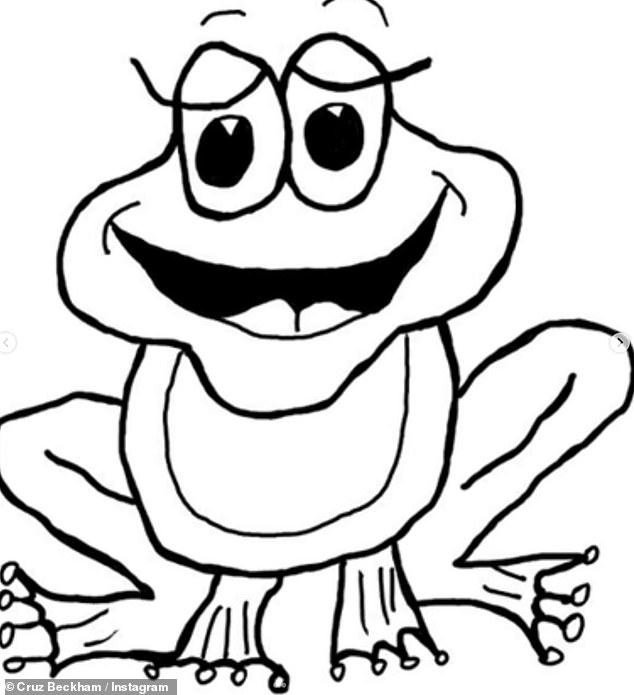 Frog Furore započeo je u travnju kada je Cruz na kraju Instagram deponije uključio crtić žabe