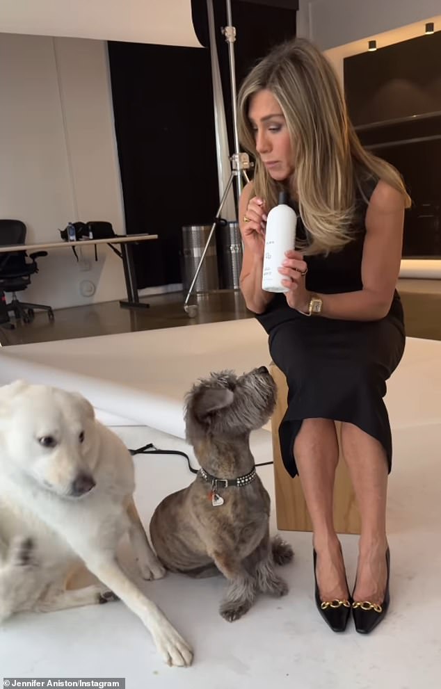 Aniston se također bori na svoje dvije krznene bebe - labrador retriver lord Chesterfield i Schnauzer Mix Clyde (na slici 20. studenog)