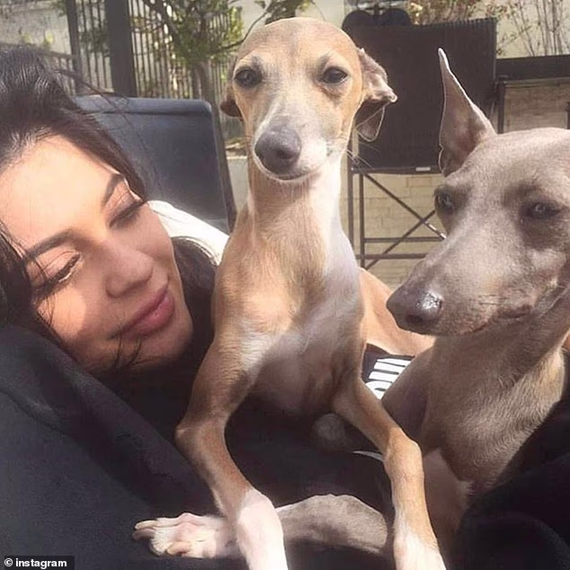 'U sjećanje na mog slatkog Normana. Još se sjećam dana kad sam te doveo kući. Nikad ništa nisam toliko voljela', napisala je