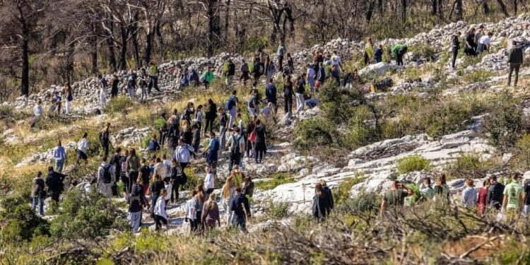 350 volontera pošumljavalo požarište na Šubićevcu u Šibeniku