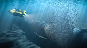 Poljska blokira njemačku istragu sabotaže Sjevernog toka