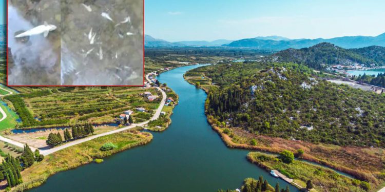 Bahat odnos investitora u BiH prema rijeci