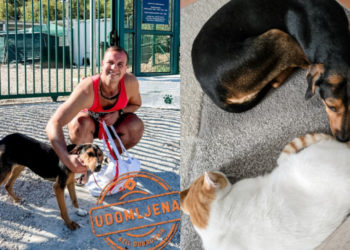 Bonny je udomljena: Od uplašene cure iz azila do voljenog člana obitelji