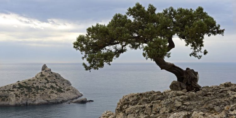 Kreće južina i sa zapada naoblačenje, ponegdje i kiša