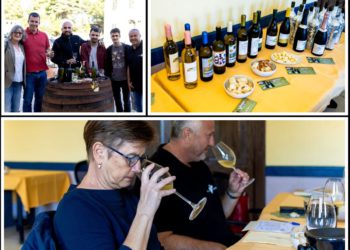 Bugava jučer, danas, sutra – kušanje mladih vina na Visu i pogled u budućnost