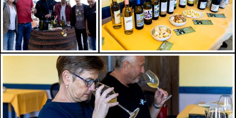 Bugava jučer, danas, sutra – kušanje mladih vina na Visu i pogled u budućnost