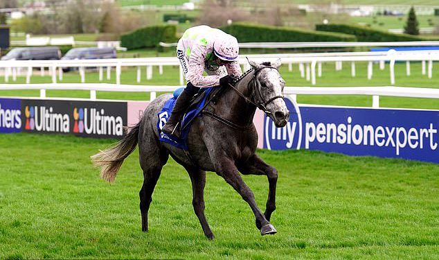 CALUM McCLURKIN: Potez Pointless Mares Hurdle najnovija je izmjena koja potvrđuje tužno razvodnjavanje Cheltenham Festivala