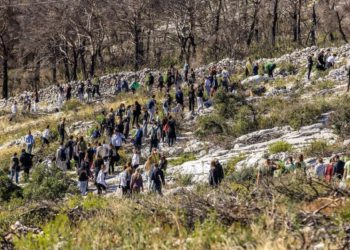 Čak 350 volontera pošumljavalo požarište na Šubićevcu. Sadila se domaća česmina, crni jasen, čempres i primorac