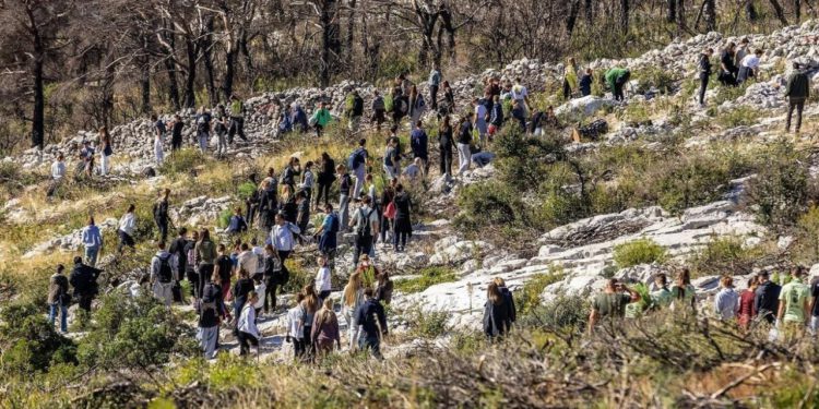 Čak 350 volontera pošumljavalo požarište na Šubićevcu. Sadila se domaća česmina, crni jasen, čempres i primorac