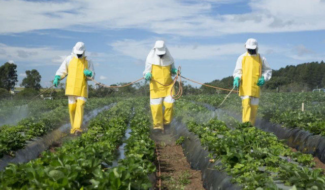 Cijena više nije jedini problem, građani BiH sve više strahuju i od pesticida u hrani