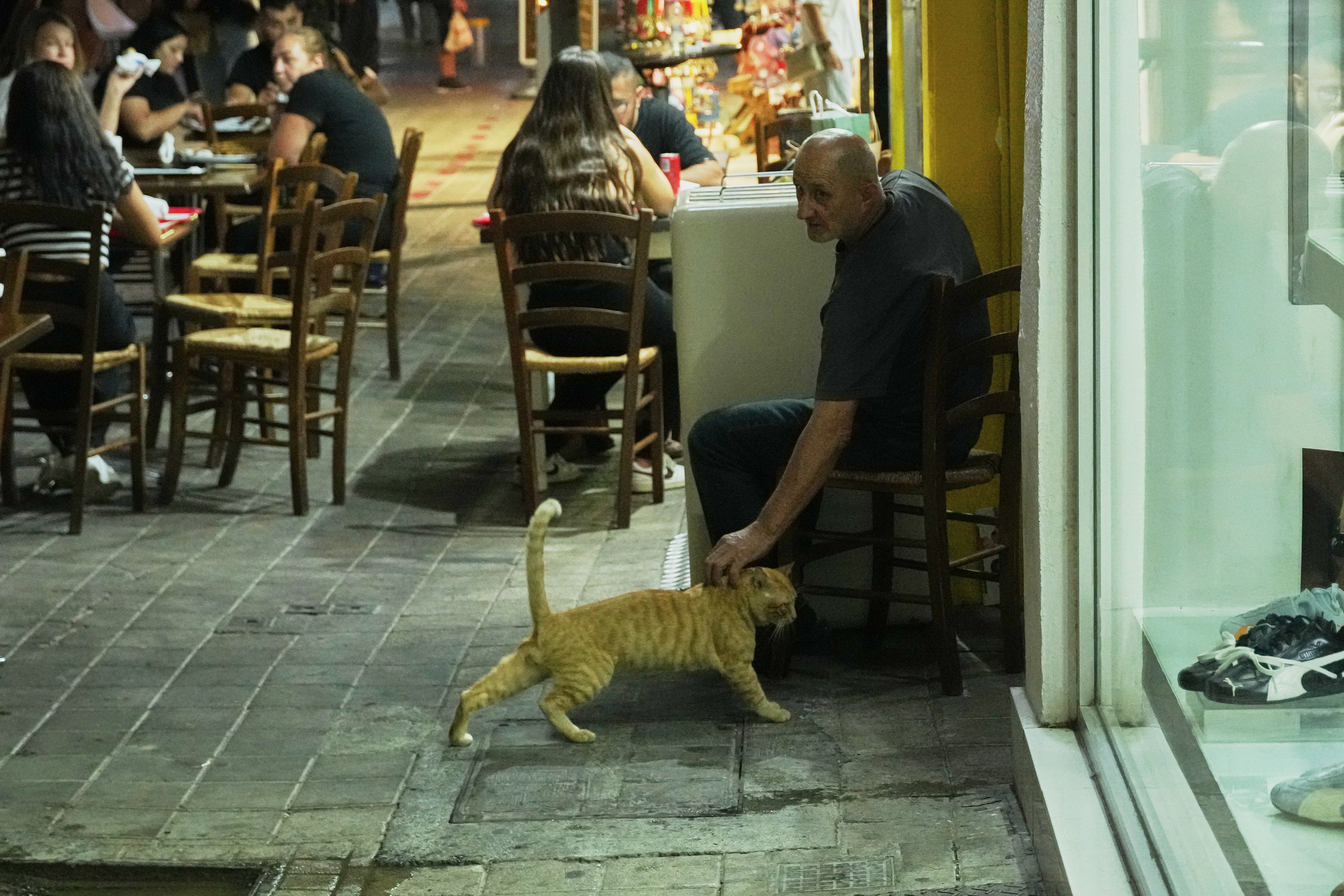 Čovjek miluje mačku ispred restorana u glavnom gradu Nicosia, Cipar, 26. rujna 2025. (AP Photo/Petros Karadjias)