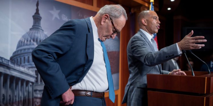 Demokratski strateg priznaje da neki u stranci imaju “karizmu gledanja kako su suha” dok razmišljaju o načinima da dosegnu mladiće