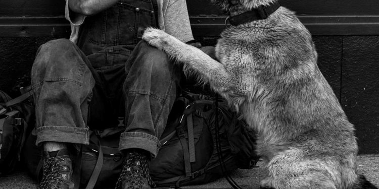 Doktor Kalilić iz Splita: “Ovo su moja iskustva s beskućnicima s Turske kule”