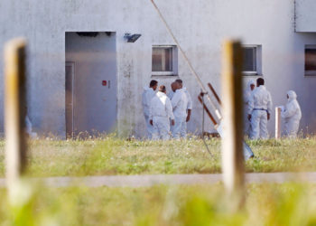 Dr. Jurinčić zgrožena onime što su napravili hrvatskim svinjama: ‘Moram reći ono što nitko nije’