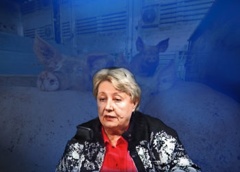 Dr. Nada Jurinčić upozorava: Kod nas nije pronađen ni jedan virus svinjske kuge