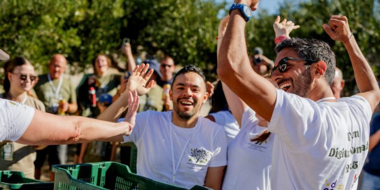 Francuska pobijedila na Svjetskom prvenstvu u branju maslina na Braču