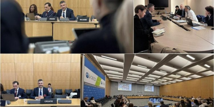 Franković predstavio Dubrovnik kao primjer održivog turizma na OECD-ovom Odboru za turizam u Parizu