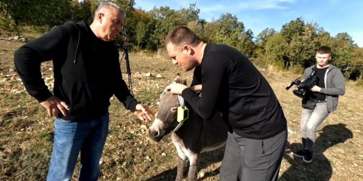 GPS im visi oko vrata