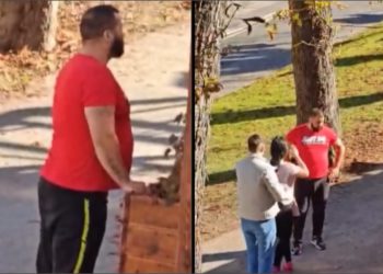 Gnjusan incident na mjestu ubojstva u Novom mestu: Čovjek upozorio manijaka pa nastradao