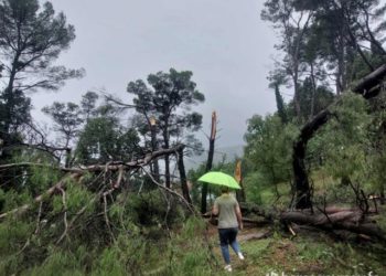 Hercegovina pod udarima jakog vjetra, meteorolozi izdali upozorenje