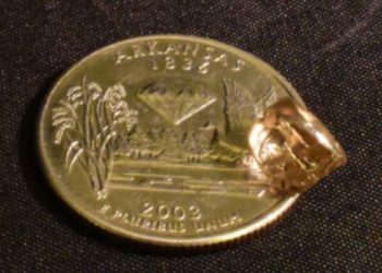 “Hvala, Isuse!” Par pronalazi rijetki 2,7-karatni bijeli dijamant u parku Arkansas