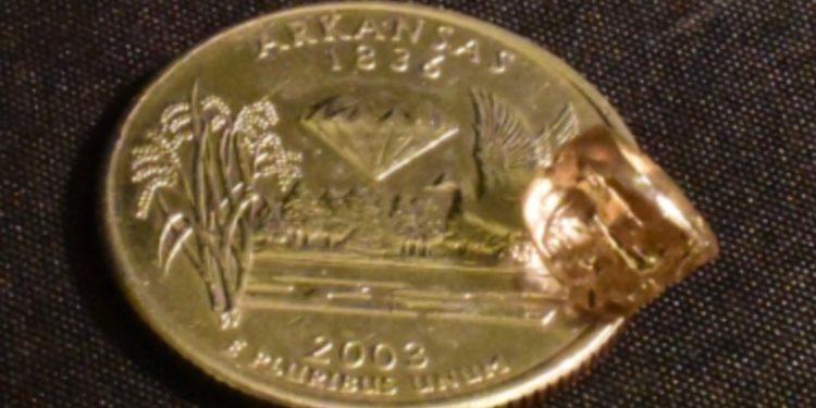 “Hvala, Isuse!” Par pronalazi rijetki 2,7-karatni bijeli dijamant u parku Arkansas
