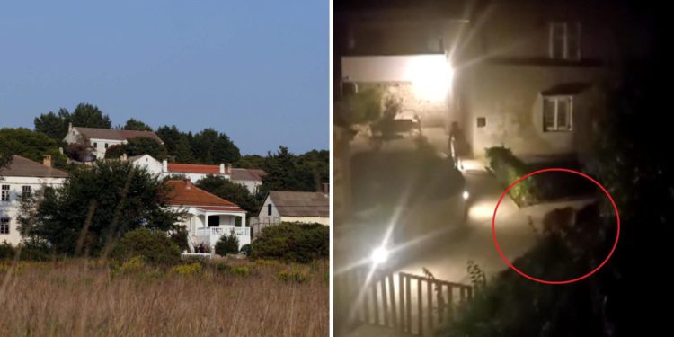 Ima ih više nego ljudi, noću dolaze do kuća. Mještani u panici: “Ne izlazimo navečer! Čim padne sunce…”