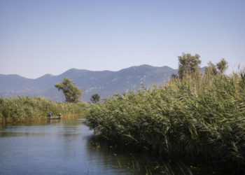 Jako vrijedan projekt: Mobilnu branu na Neretvi gradit će poznata tvrtka iz Cavtata