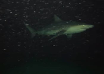 Kameru s kruzera usred noći spustio u tamu oceana