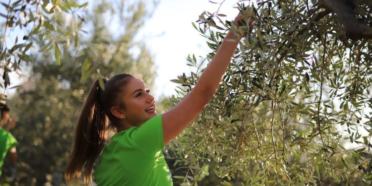 Mladi volonteri u akciji: “72 sata bez kompromisa” ponovno u Splitu!