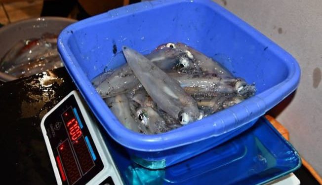 NA OLIGNJE 2025. U Dubrovniku održano natjecanje u lignjolovu