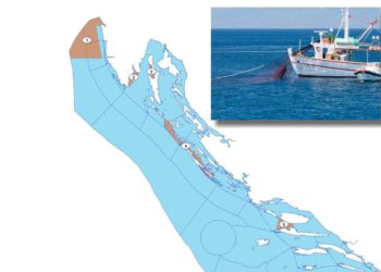 NOVA OGRANIČENJA Plivarice-srdelare od danas ne smiju izlovljavati na ovim područjima!