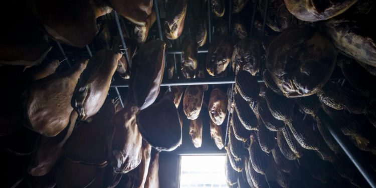 Napravljen prvi korak prema dugo očekivanom projektu. Drniš će dobiti Kuću pršuta